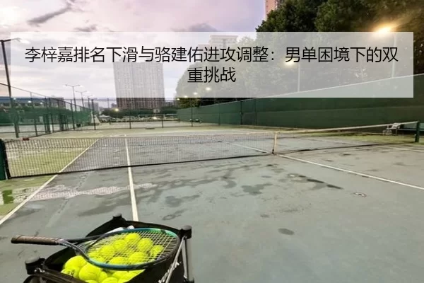 李梓嘉排名下滑与骆建佑进攻调整：男单困境下的双重挑战