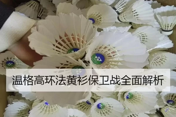 wen-ge-gao-huan-fa-huang-shan-bao-wei-zhan-quan-mian-jie-xi-3-223.jpg