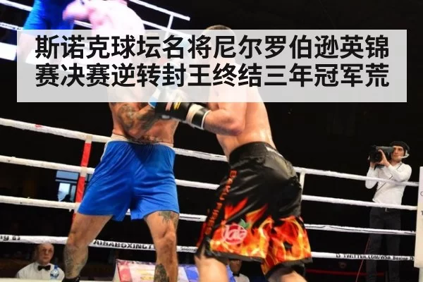 斯诺克球坛名将尼尔罗伯逊英锦赛决赛逆转封王终结三年冠军荒